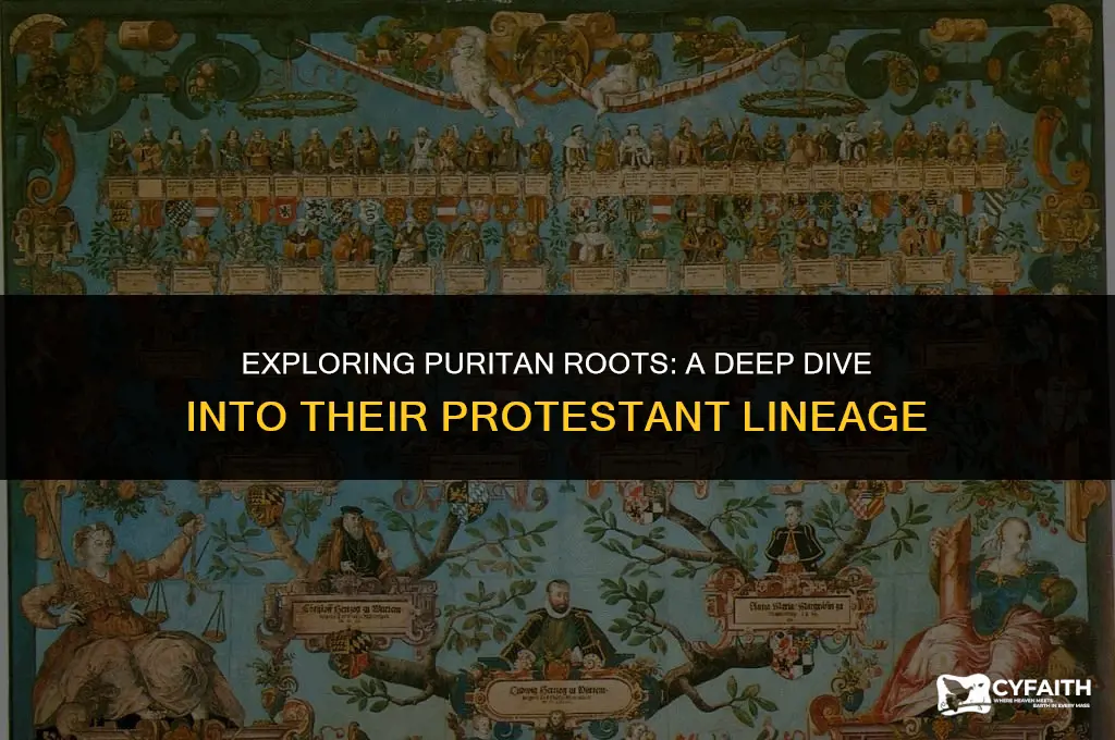 what protestant group did puritans belong to
