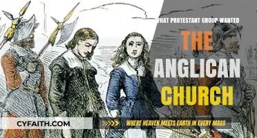 Puritans' Quest: Seeking Reform Within the Anglican Church