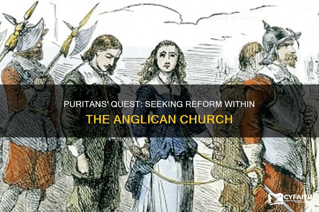 what protestant group wanted the anglican church