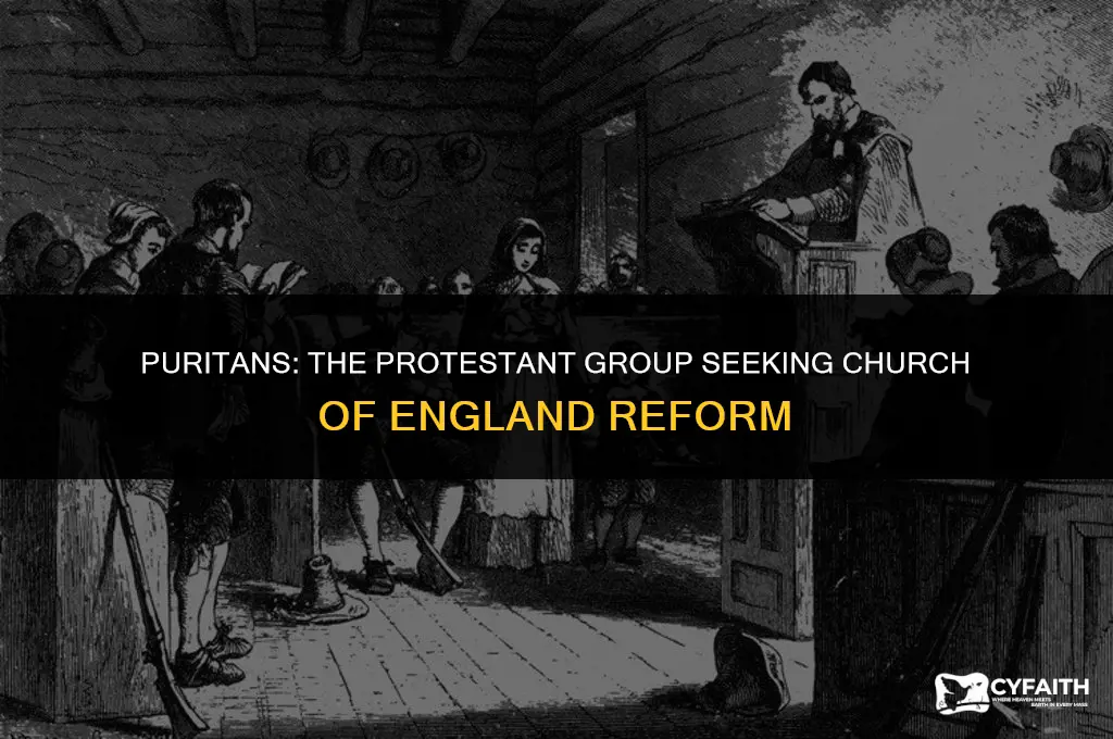 what protestant group wanted to reform the church of england