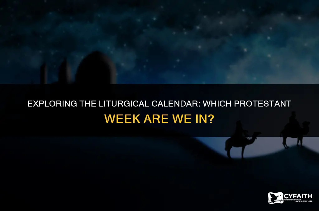what protestant liturgical week are we in