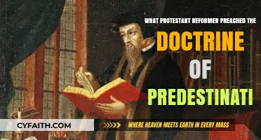 Exploring Predestination: The Reformer's Controversial Doctrine