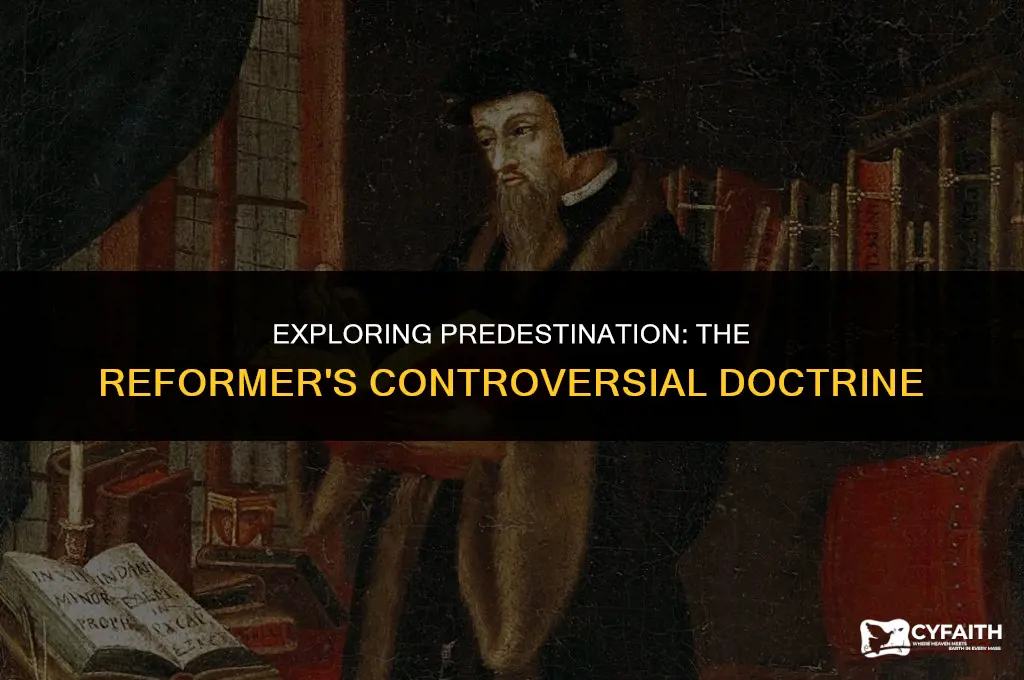 what protestant reformer preached the doctrine of predestination