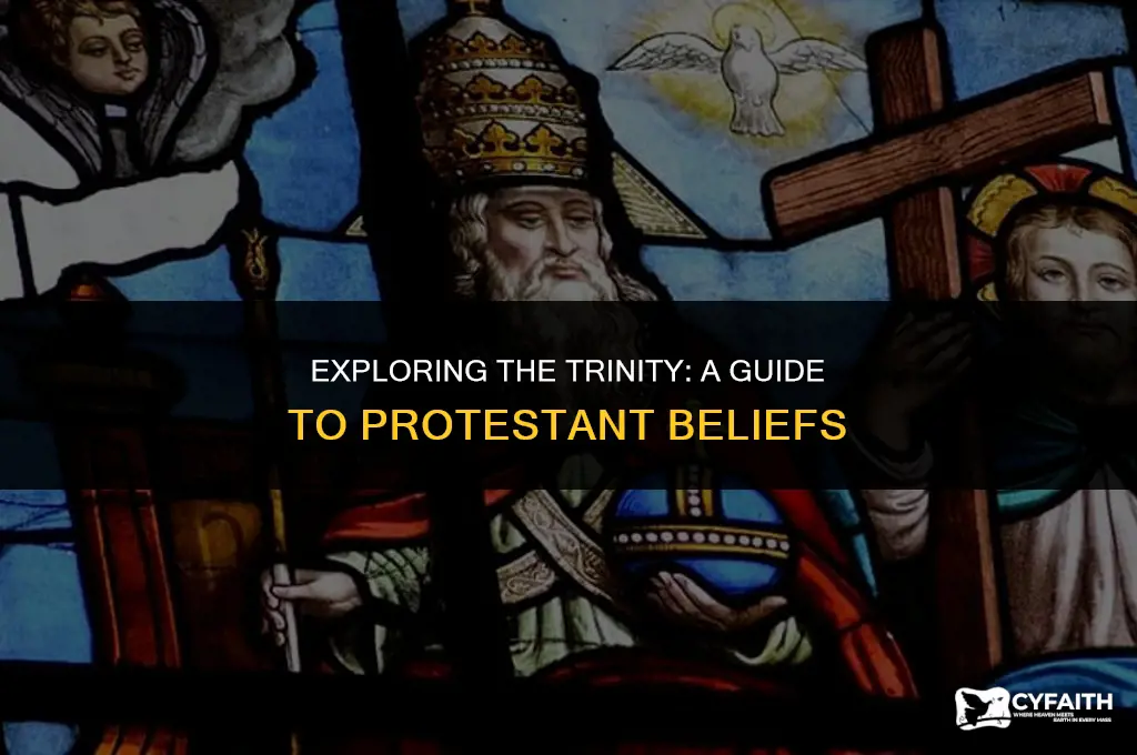 what protestant religions believe in the trinity