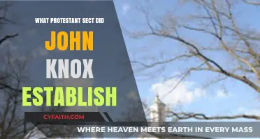 Exploring the Origins: John Knox and the Presbyterian Church