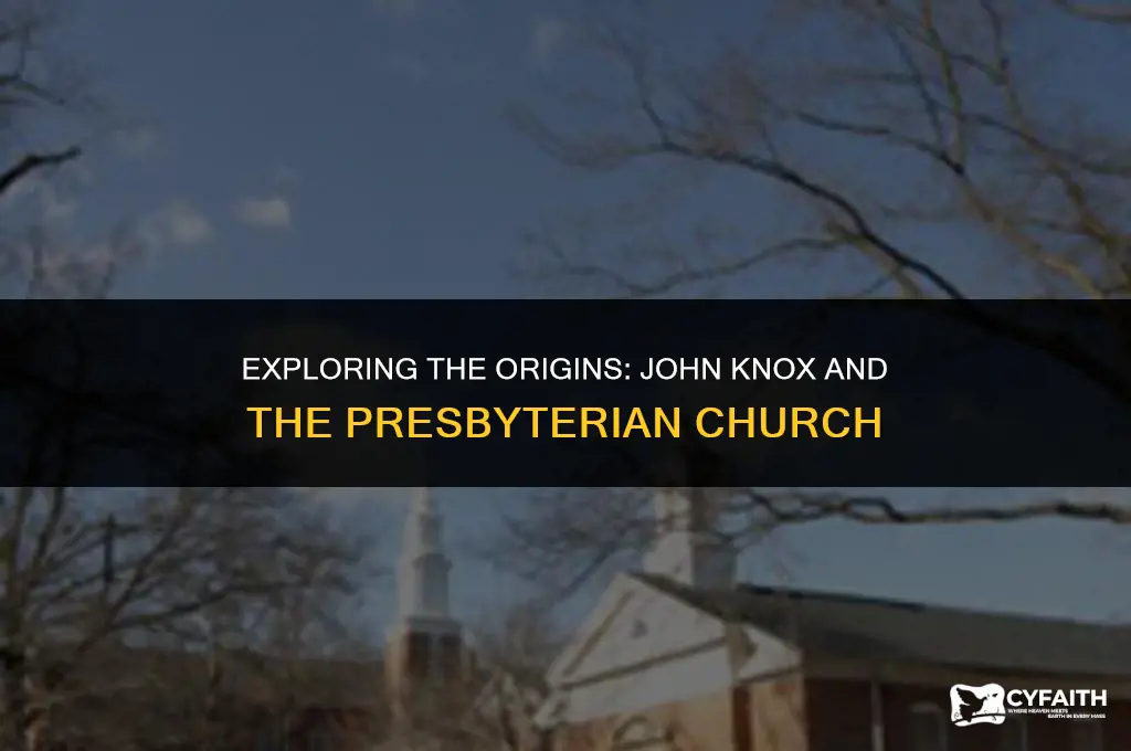 what protestant sect did john knox establish