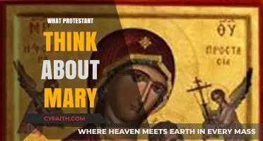 Exploring Protestant Perspectives on Mary: A Theological Journey