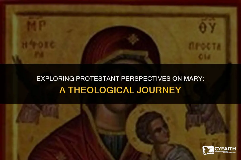 what protestant think about mary