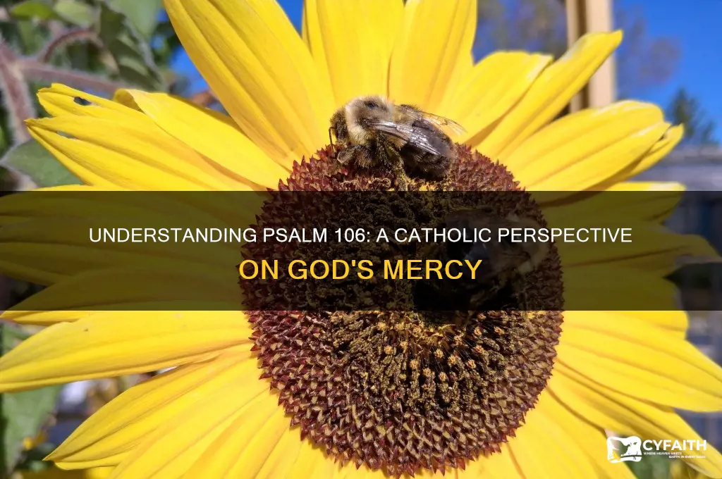 what psalms 106means catholic