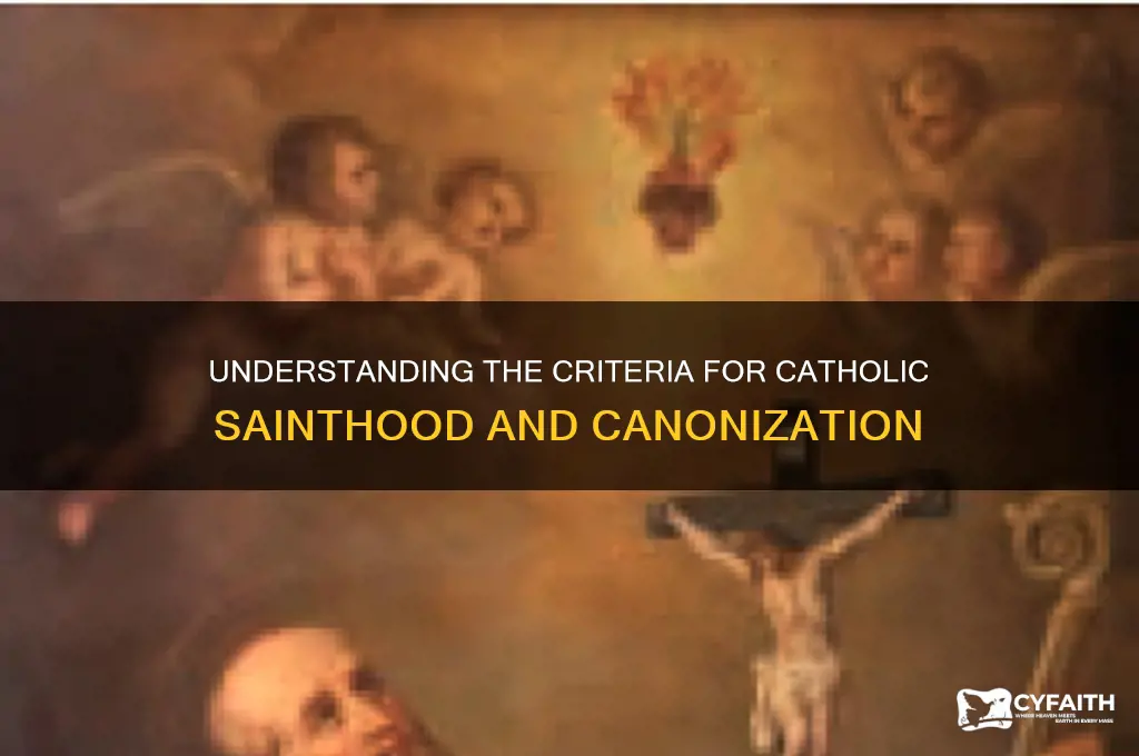 what qualifies a person to be canonized catholic