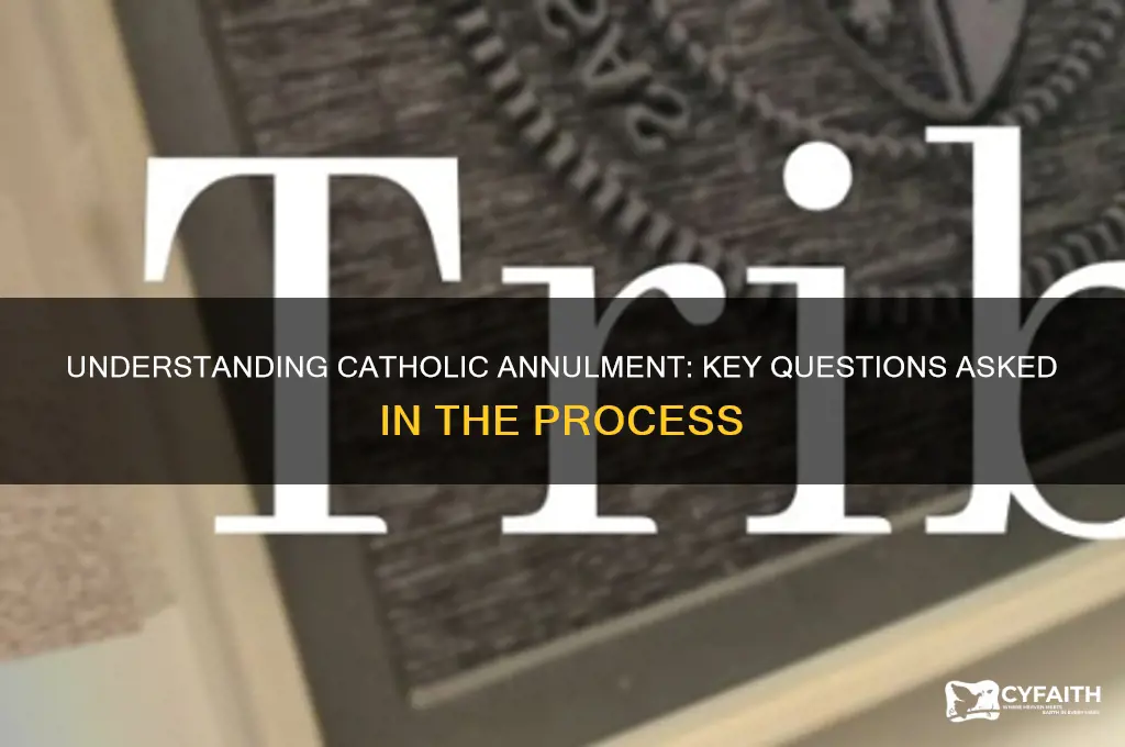 what questions are asked in a catholic annulment