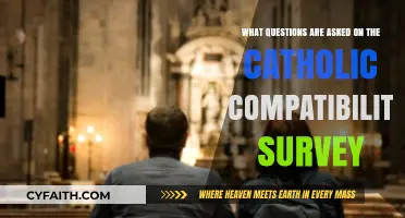 Catholic Compatibility Survey: Key Questions for Faith-Based Relationships Explored
