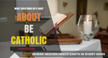 Exploring Catholicism: Your Questions Answered About Faith and Practice