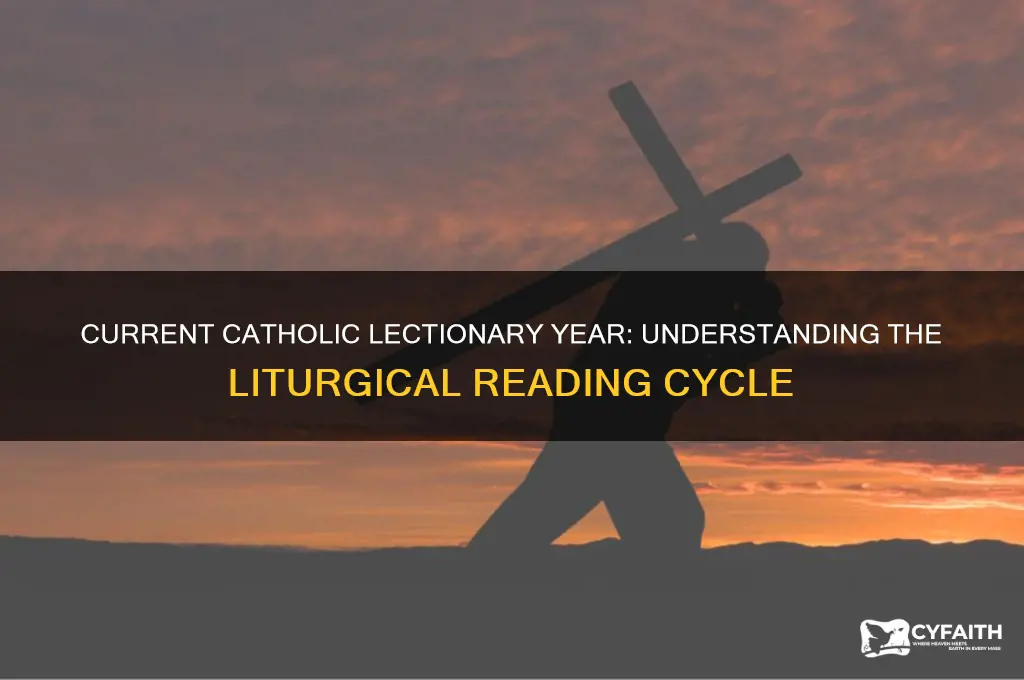 what reading year are catholics in