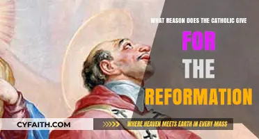 Catholic Perspectives: Understanding the Church's Response to the Reformation