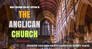 Missing Reforms: Key Changes Absent in Anglican Church Evolution