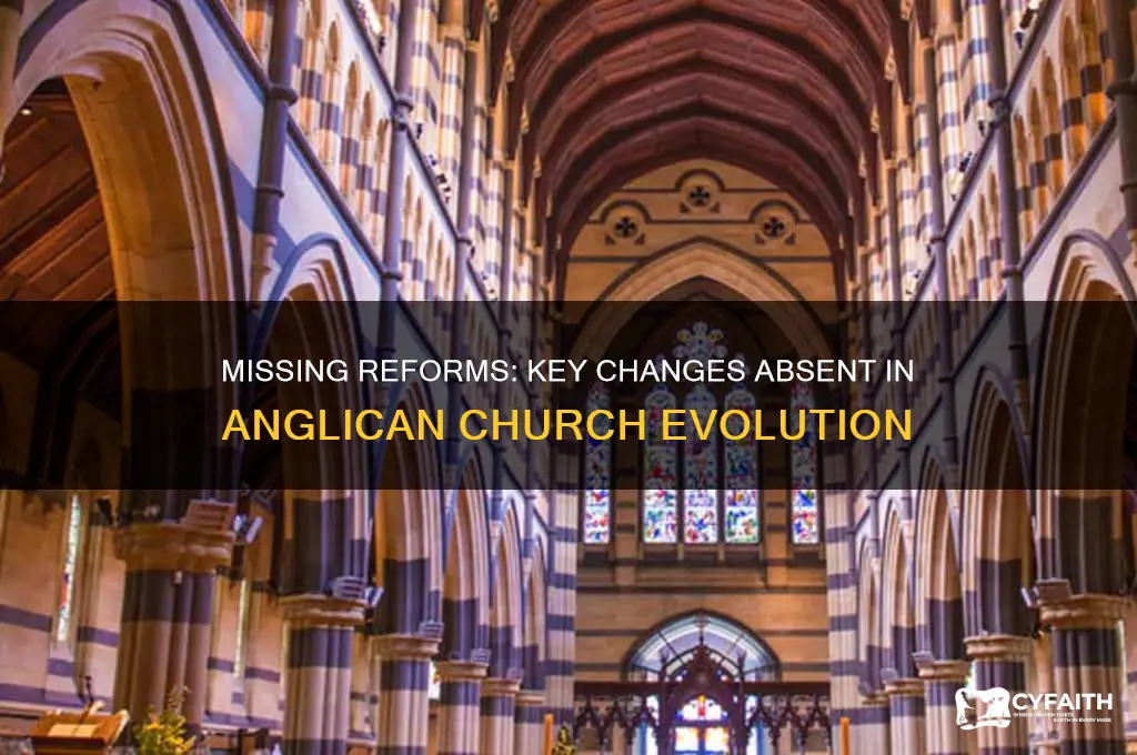 what reform did not appear in the anglican church