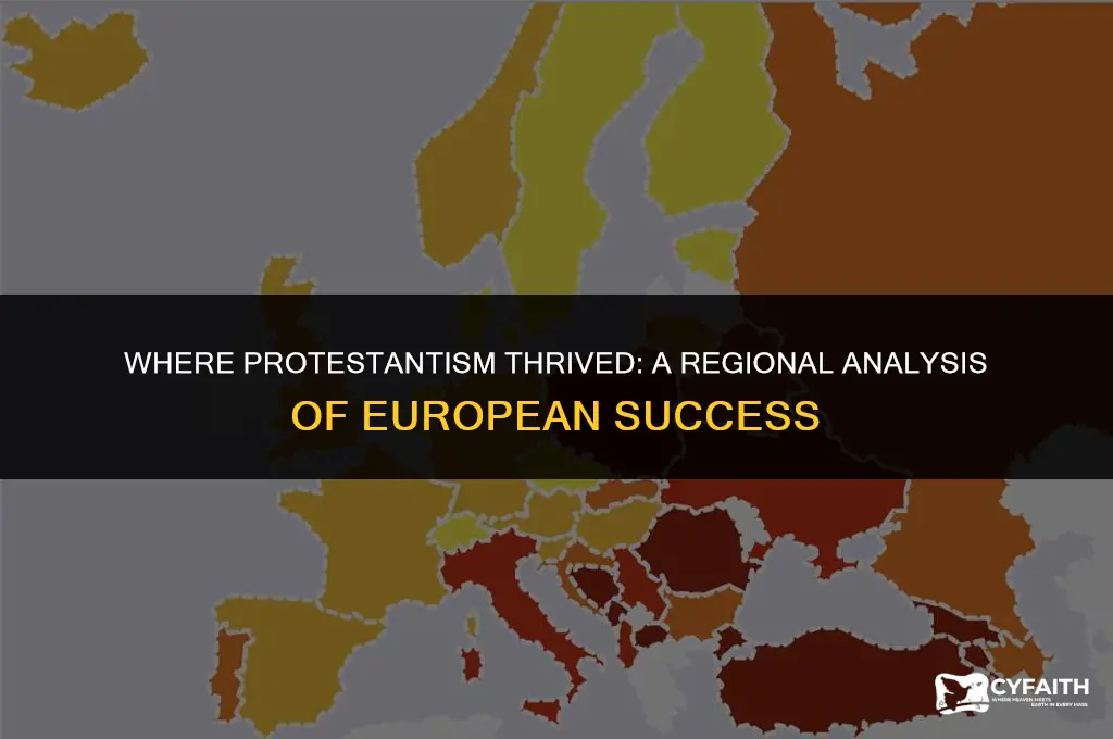 what region was protestant in europe most successful