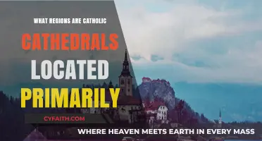 Where Faith Stands Tall: Catholic Cathedrals' Global Regional Distribution