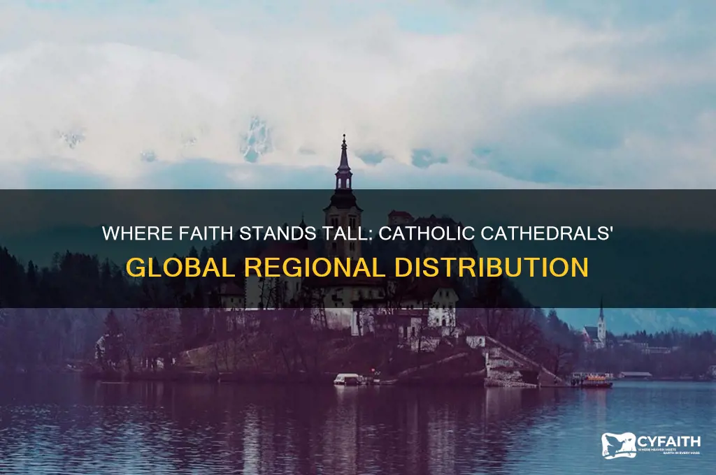 what regions are catholic cathedrals located primarily