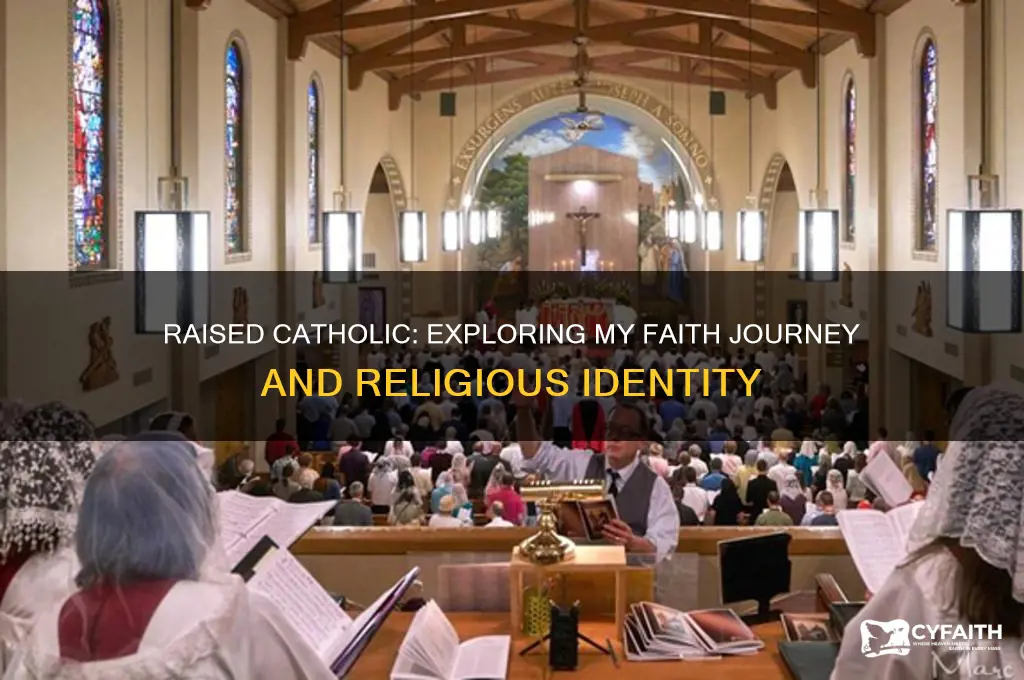what religion are you well i was raised catholic