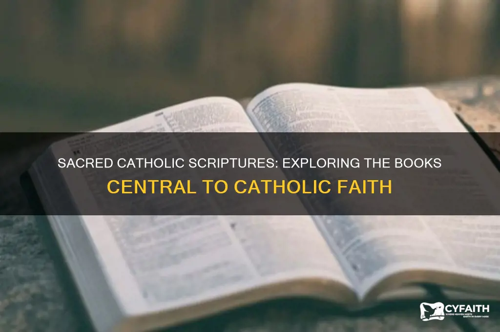 what religion books do the catholics use