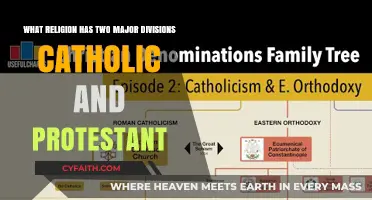 Exploring Christianity: Understanding Catholic and Protestant Divisions