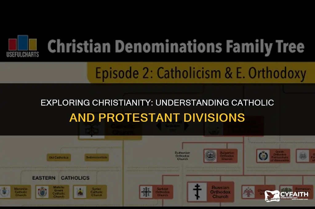 what religion has two major divisions catholic and protestant