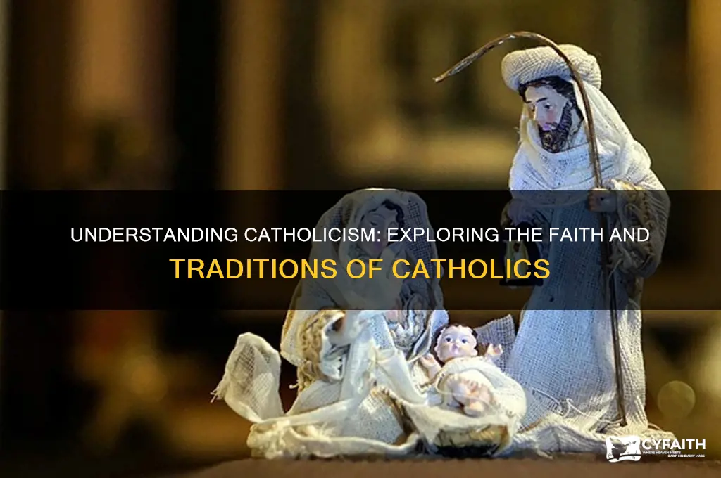 what religion is catholics under
