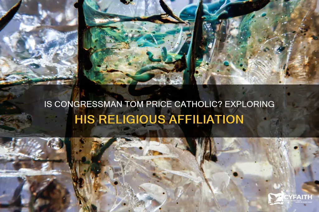 what religion is congressman tom price catholic