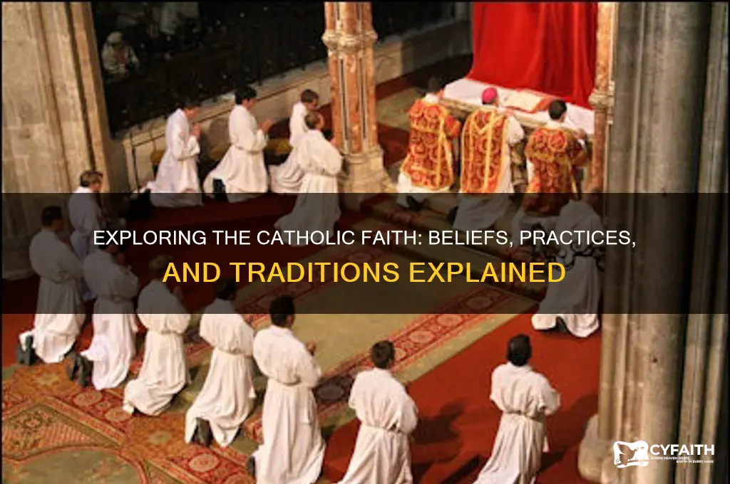 what religion is like catholic faith