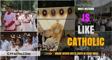 Exploring Catholicism: Beliefs, Practices, and Traditions of the Catholic Faith