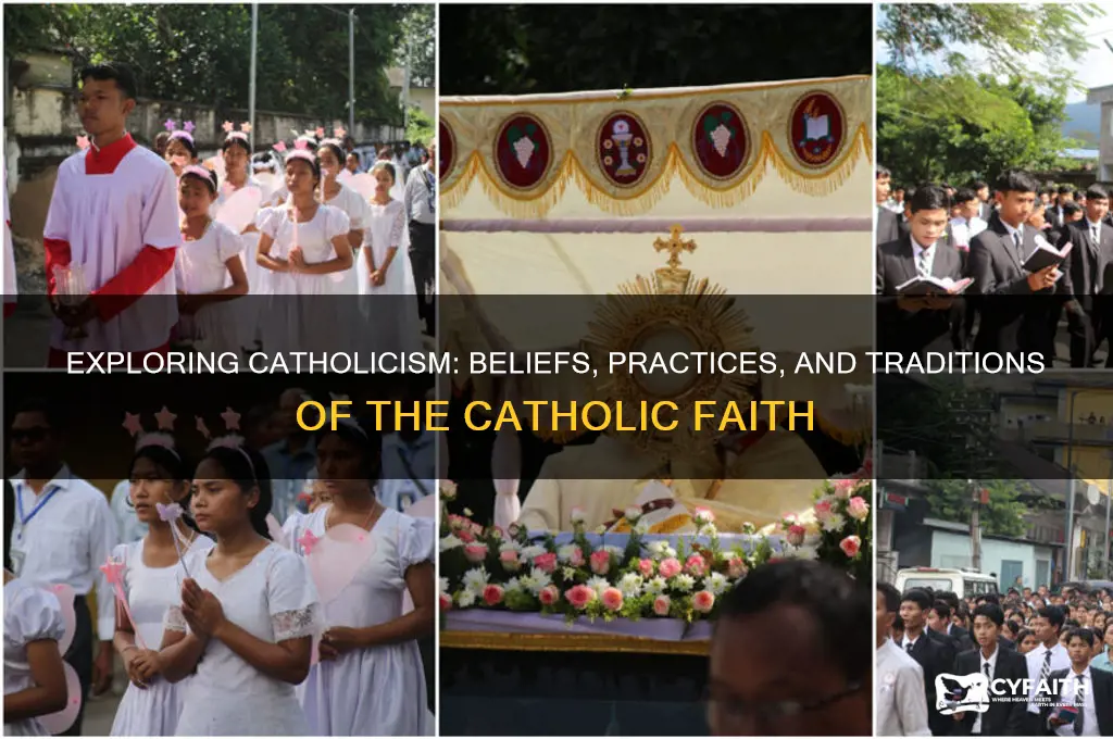 what religion is like catholic