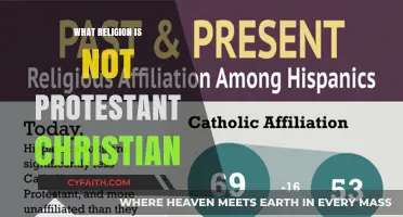 Exploring Faiths Beyond Protestantism: A Guide to Non-Protestant Religions