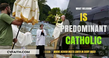 Exploring the Predominantly Catholic Religion: A Global Faith Perspective