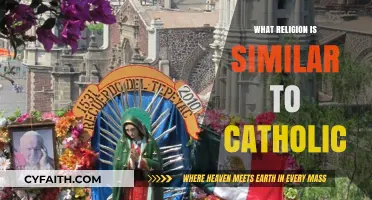 Exploring Catholic Similarities with Other Faiths