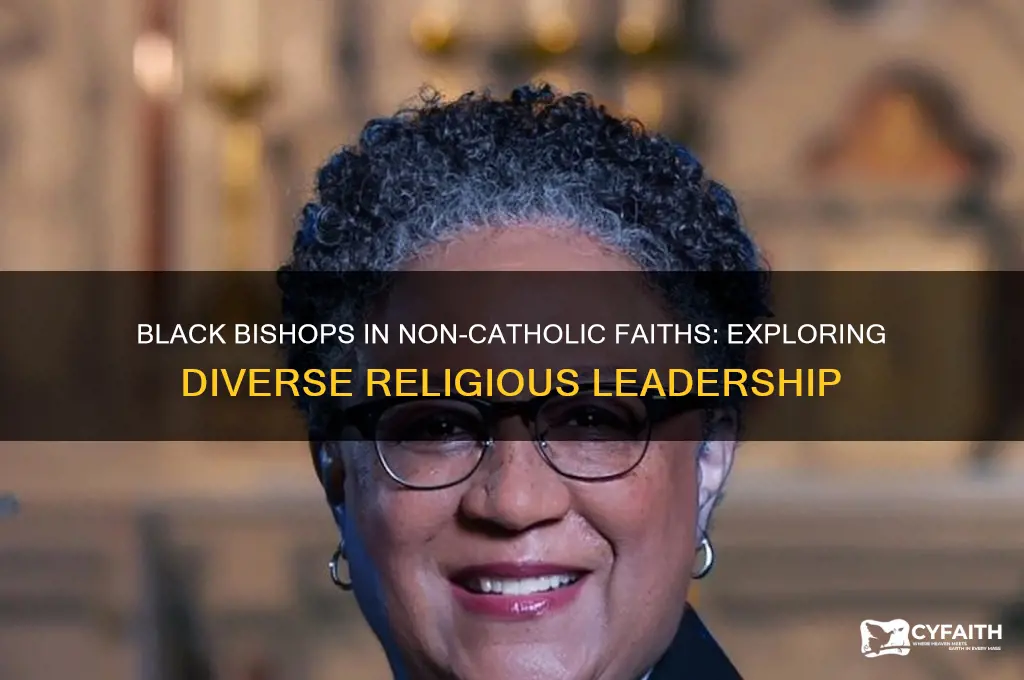 what religion other than catholic has a black bishop