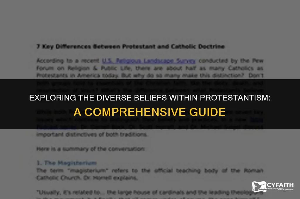 what religions are included in protestant