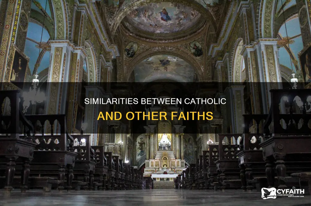 what religions are similar to catholic