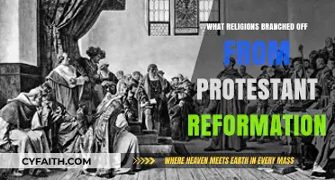 Faith's Evolution: Religions Born from the Protestant Reformation