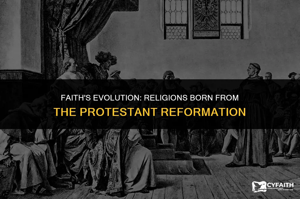 what religions branched off from protestant reformation