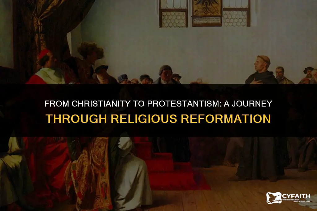 what religions did protestant form