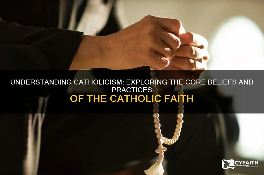 what religious affiliation is catholic