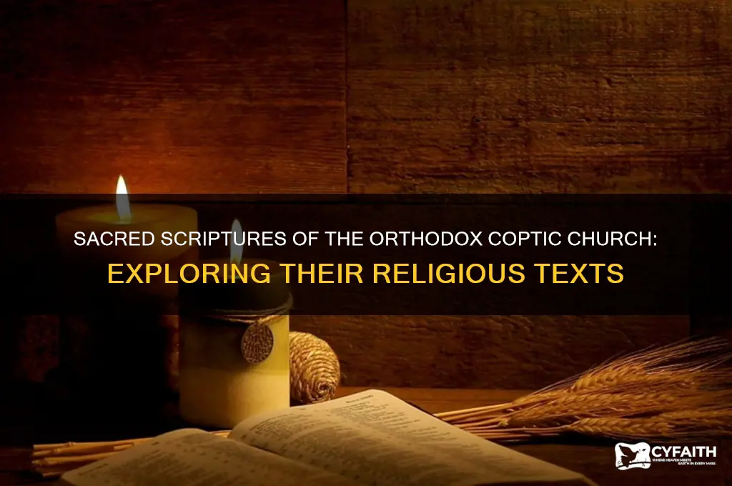 what religious text does orthodox coptic church use