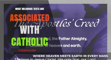 The Bible and Catholic Teachings: Religious Text Connections