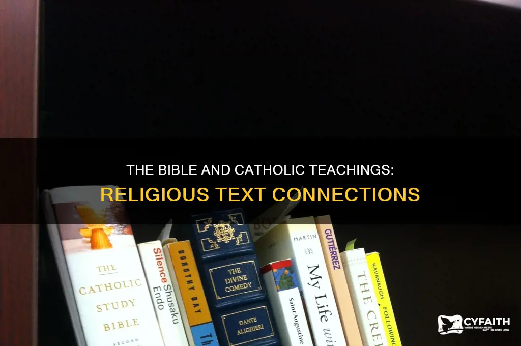 what religious texts are associated with catholic