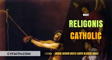 Understanding Catholicism: Core Beliefs, Practices, and Global Influence Explained
