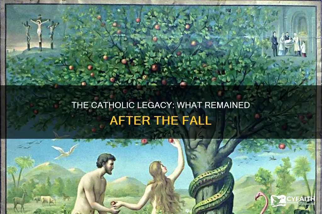 what remained after the fall of man catholic