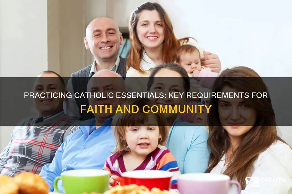 what requirements must one meets to be a practicing catholic