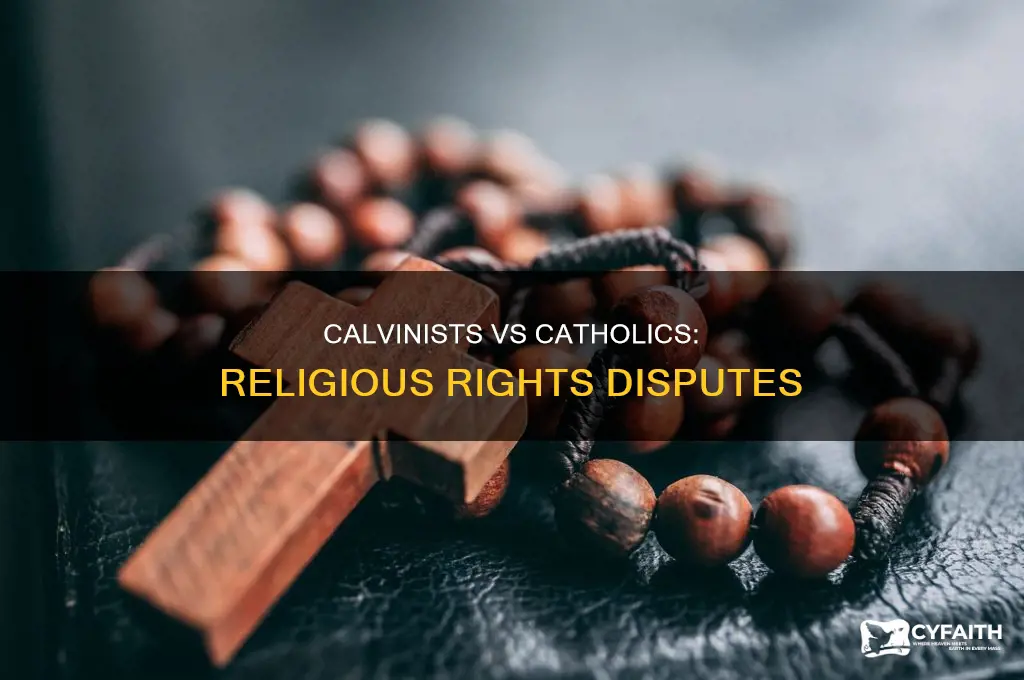 what rights were calvinists & catholics fighting over